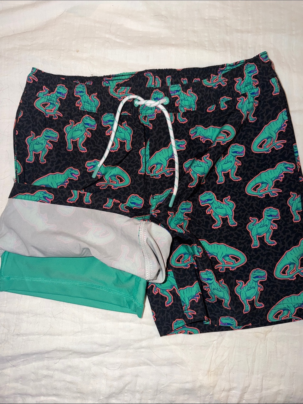 T-Rex men’s dinosaur Print Swim Trunks vibrant.